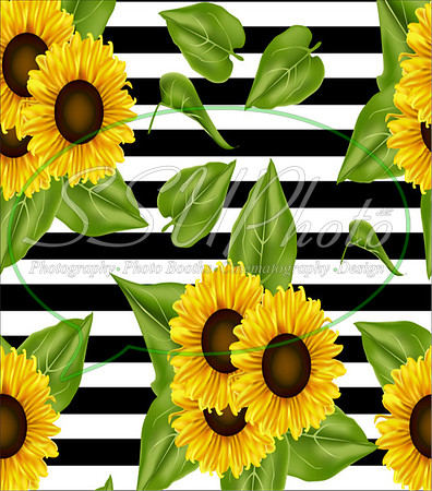 Sunflowers15