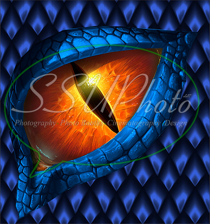 Dragon eye14