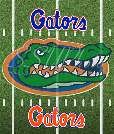 Gators18