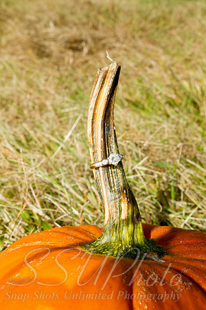 0187engagment