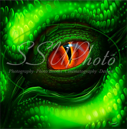 DragonEyes25