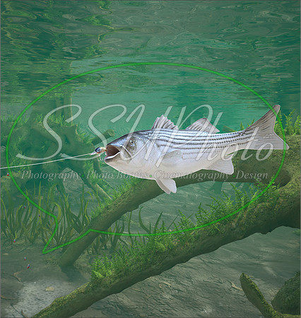 3d Fishing9