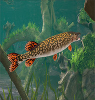 3d Fishing5