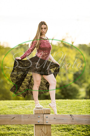 vivseniorphotos2020408