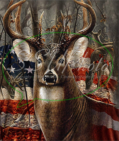 Huntings14
