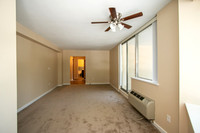 0017101mulberry