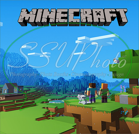 MineCrafts6