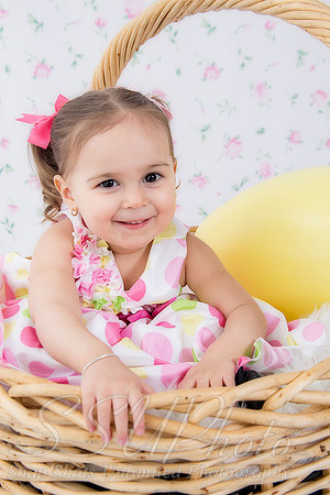 jeneaster201400014