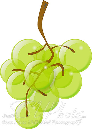 green_grapes_on_vine