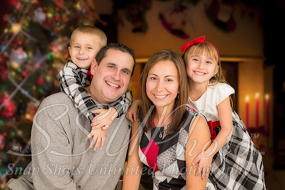 rosachristmas201500041