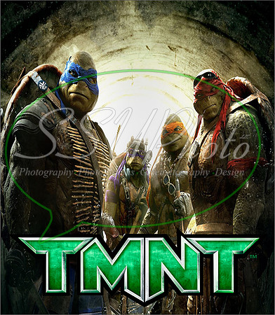 TMNT214