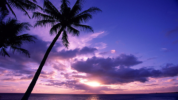 Tropical2