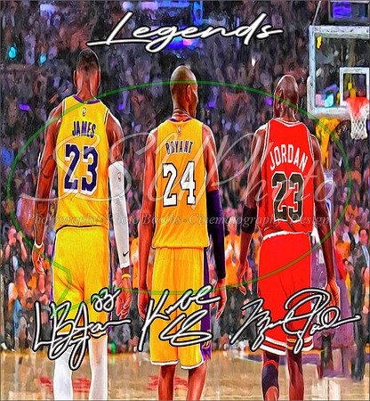 Basketball Ledgends8