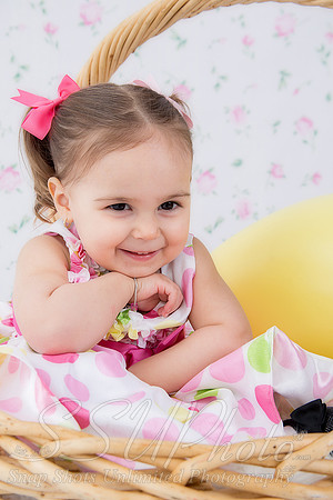 jeneaster201400011