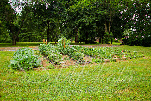 Louparentshousground00115