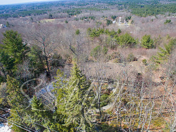 54foresthill0037