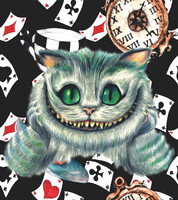 alice wonderland114