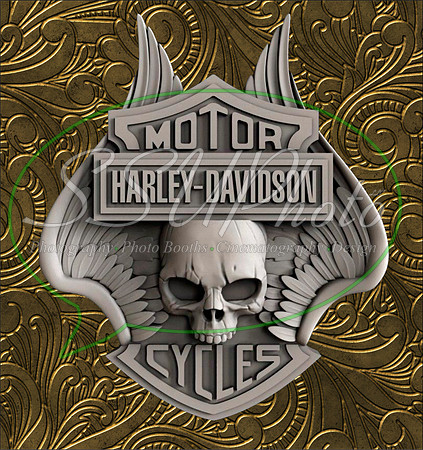HarleyD2