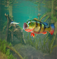 3d Fishing2