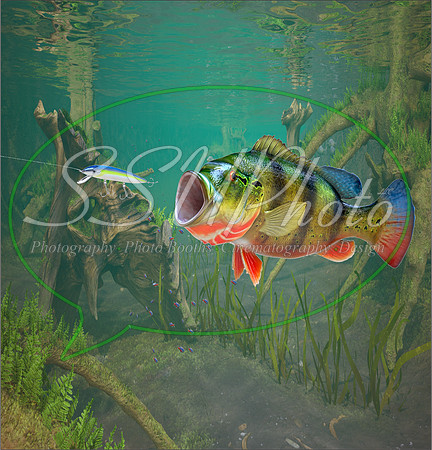 3d Fishing2
