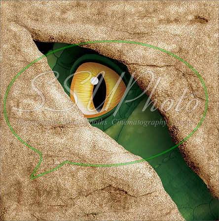 DragoneyesTurn1
