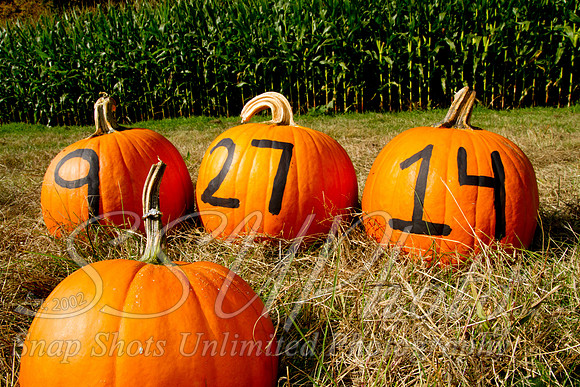 0186engagment