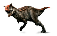 carno2 copy