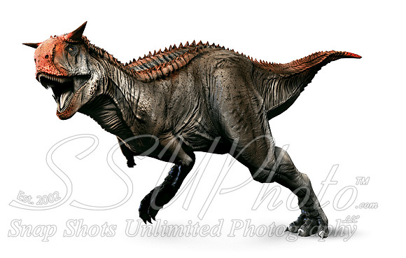 carno2 copy
