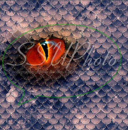 DragonEyes212