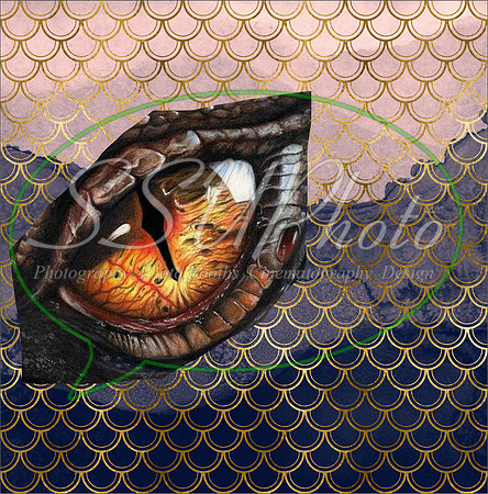DragonEyes216