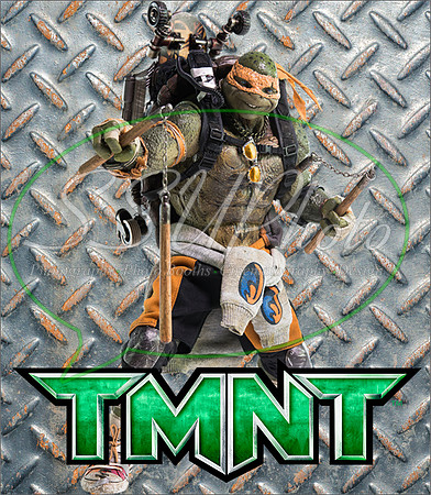 TMNT217
