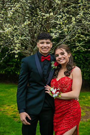 swprom22-300