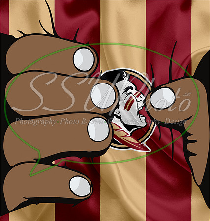 FSU10