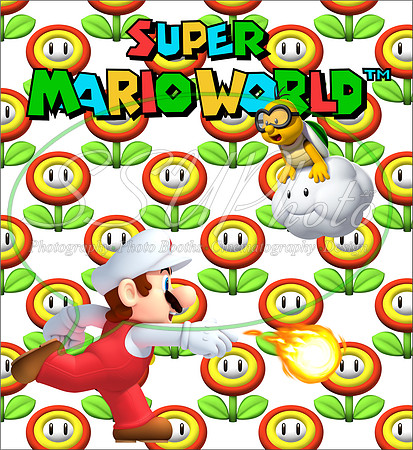 SuperMariopatterns14