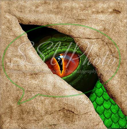 DragoneyesTurn2