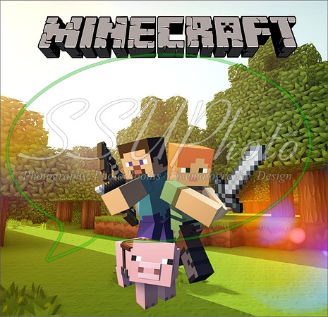 MineCrafts3