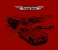 Austinhealeyred