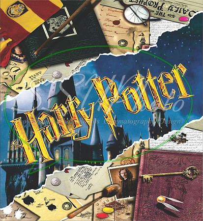 HarryPPatterns14