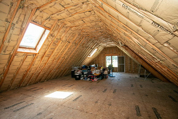 IMG_4424