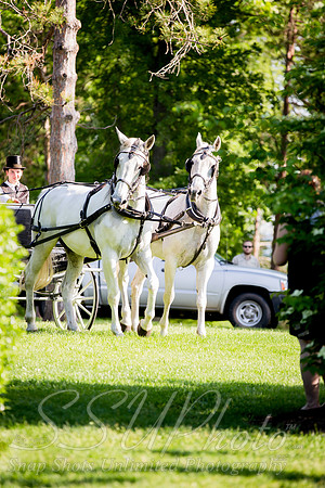 ceremony-990