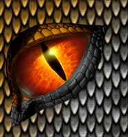 Dragon eye18