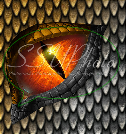 Dragon eye18