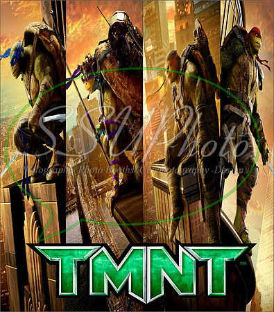 TMNT223