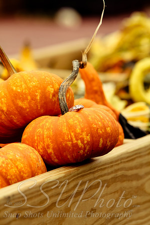 0147fallphotos2013
