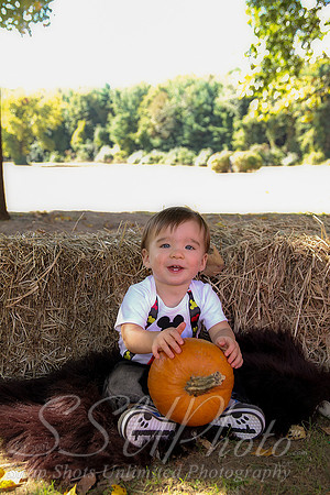 0088Owen1