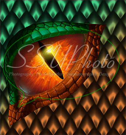 Dragon eye110