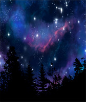 Starssky4
