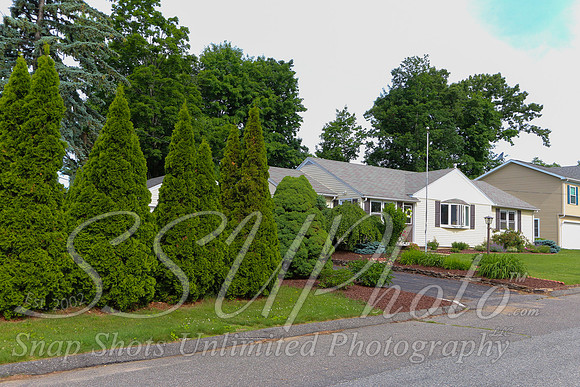 10davidst00076