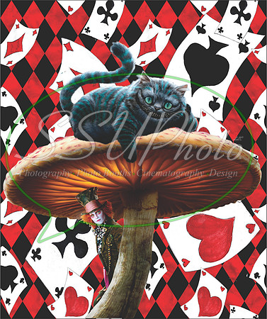 alice wonderland119