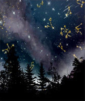 Starssky1